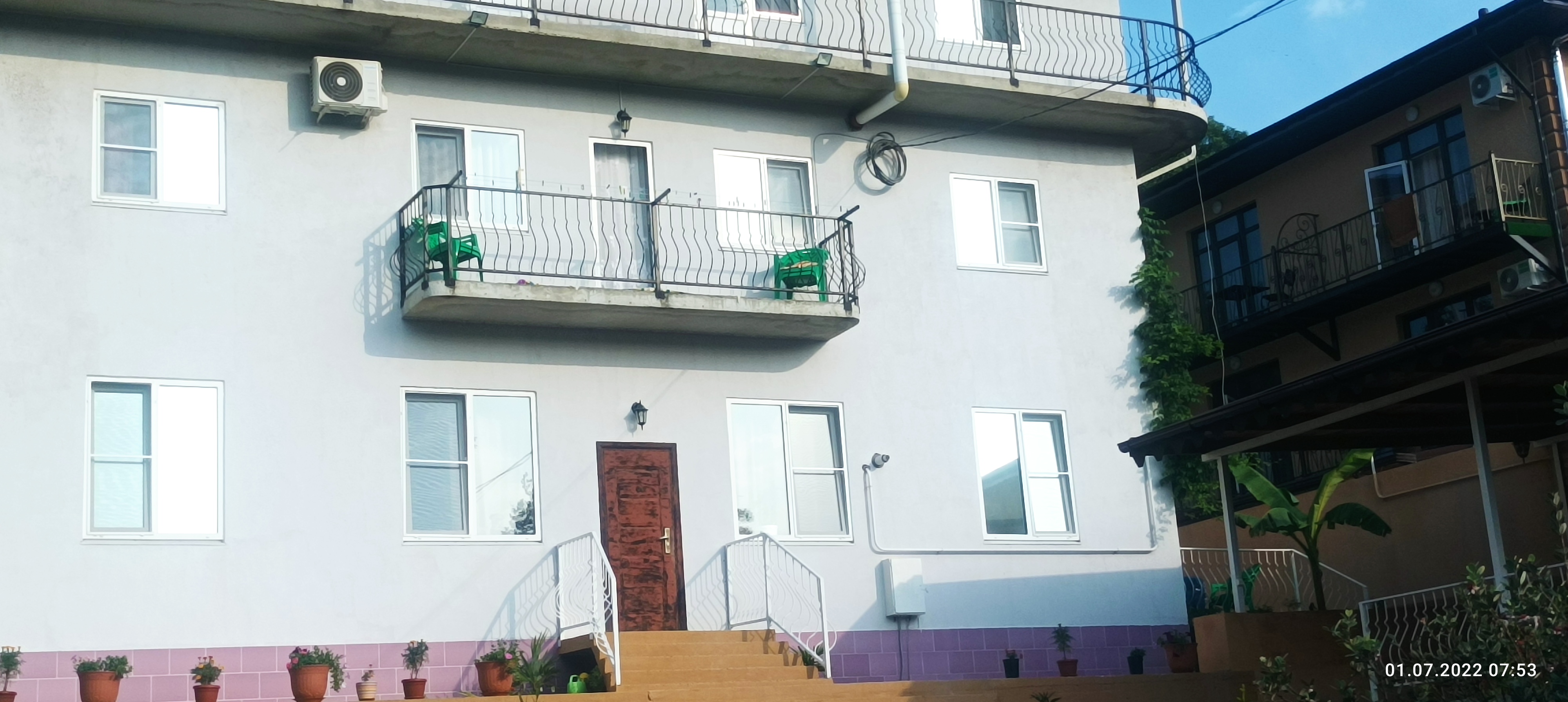 Фото Резеда