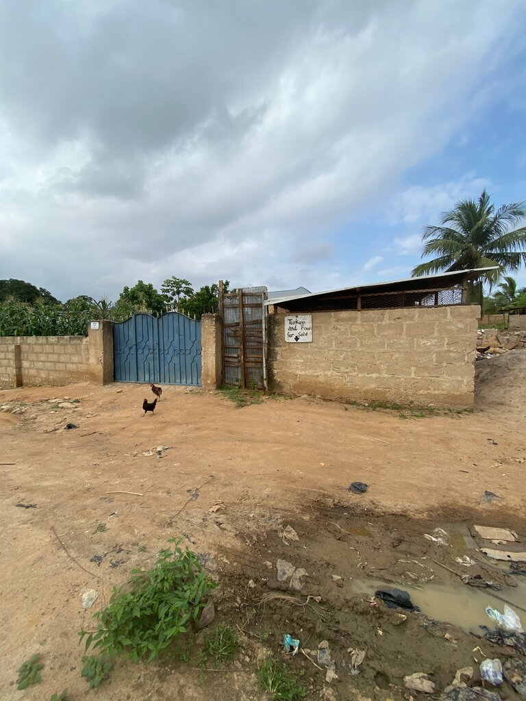 Agricultural enterprise Poultry Farm, Earth, photo