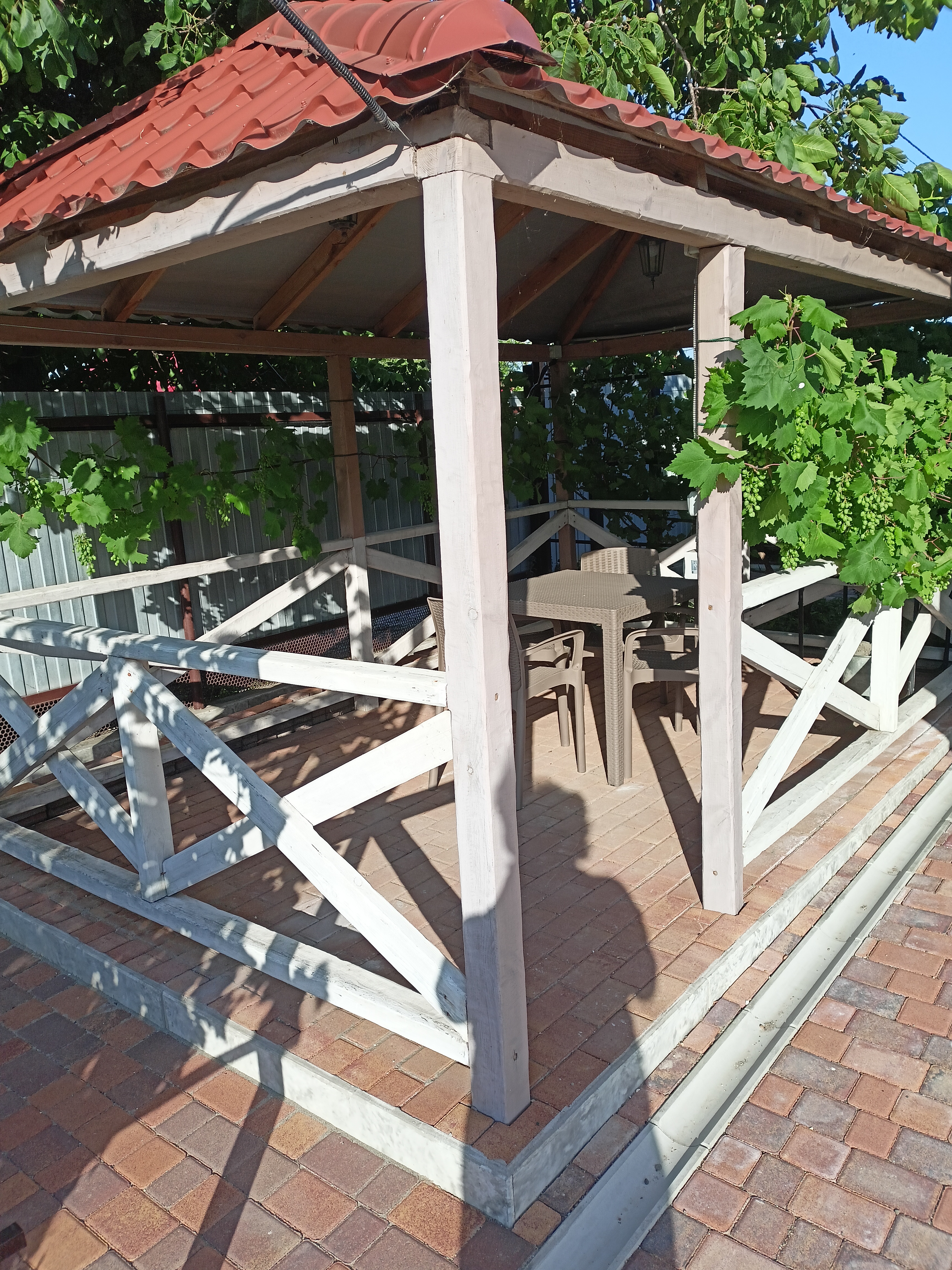 Фото 38 Попугаев