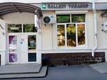Gallery tobacco (Kosmonavtov Street, 7), estanco