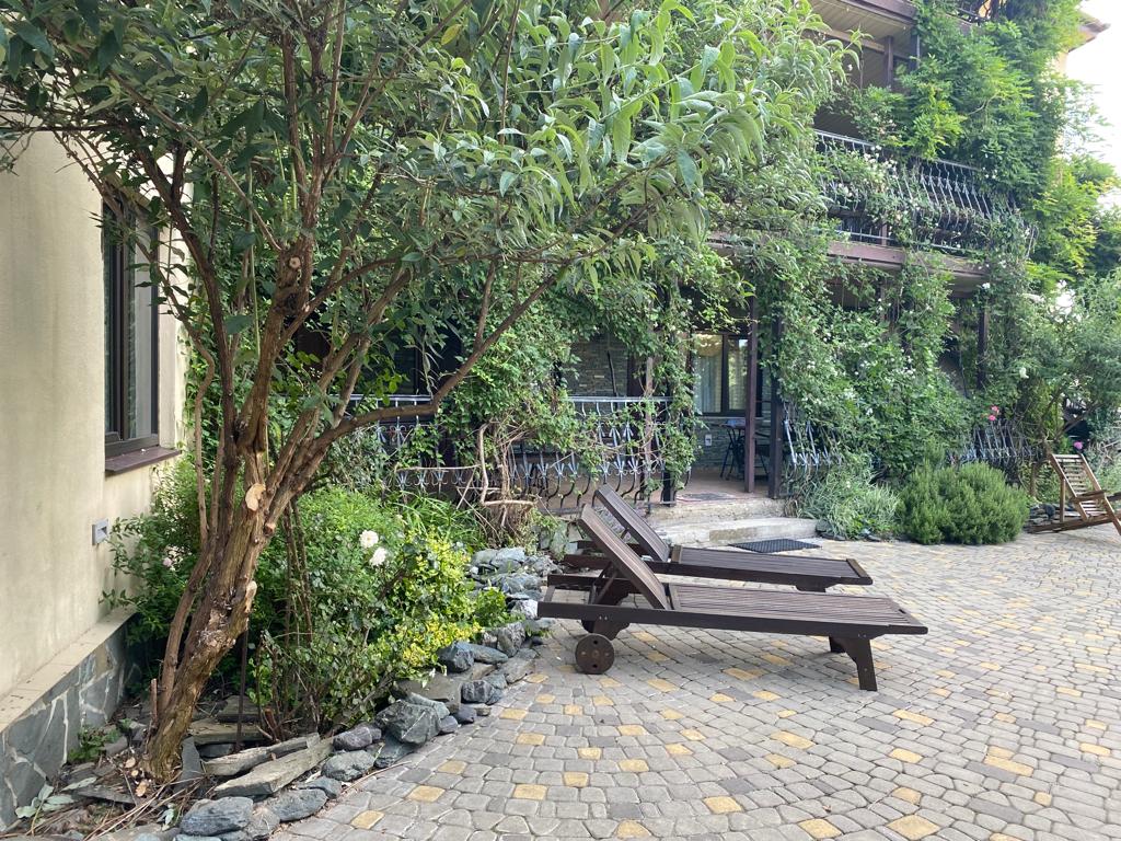 Фото У Антонины