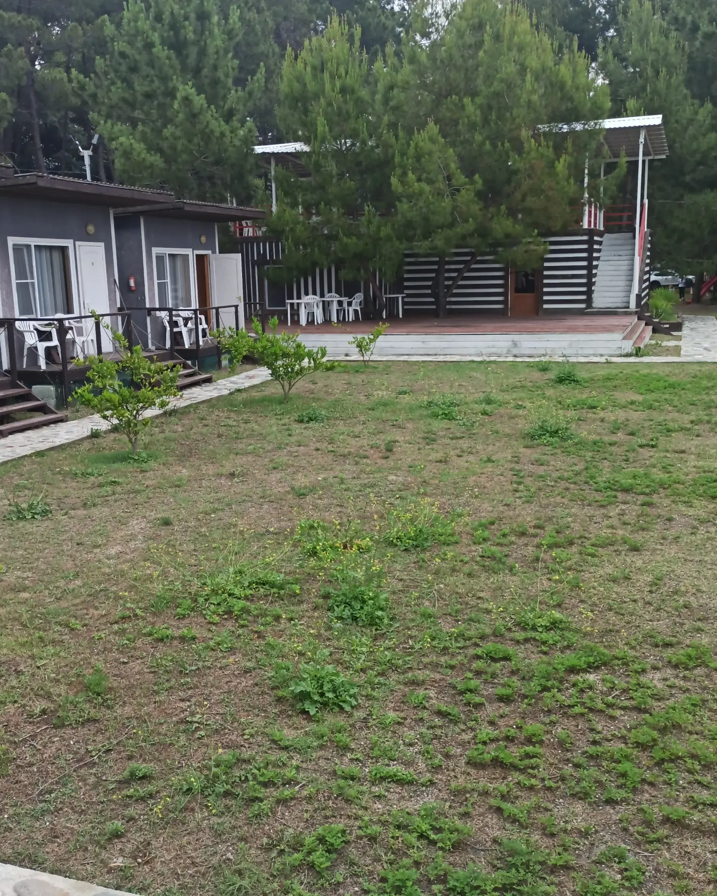 Фото Forest Club