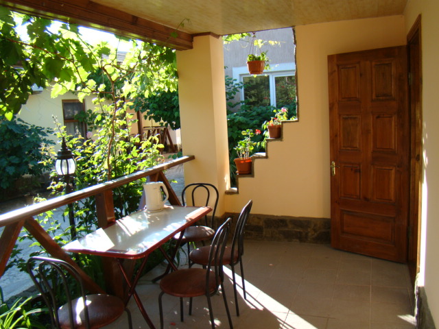 Фото Глициния