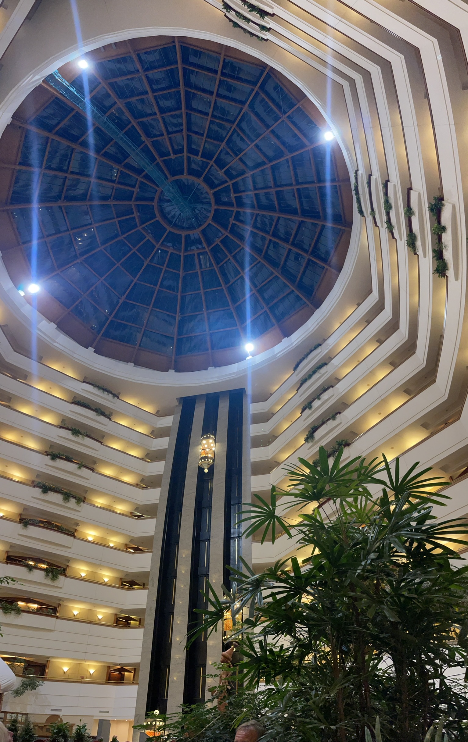 Фото Rahat Palace Hotel