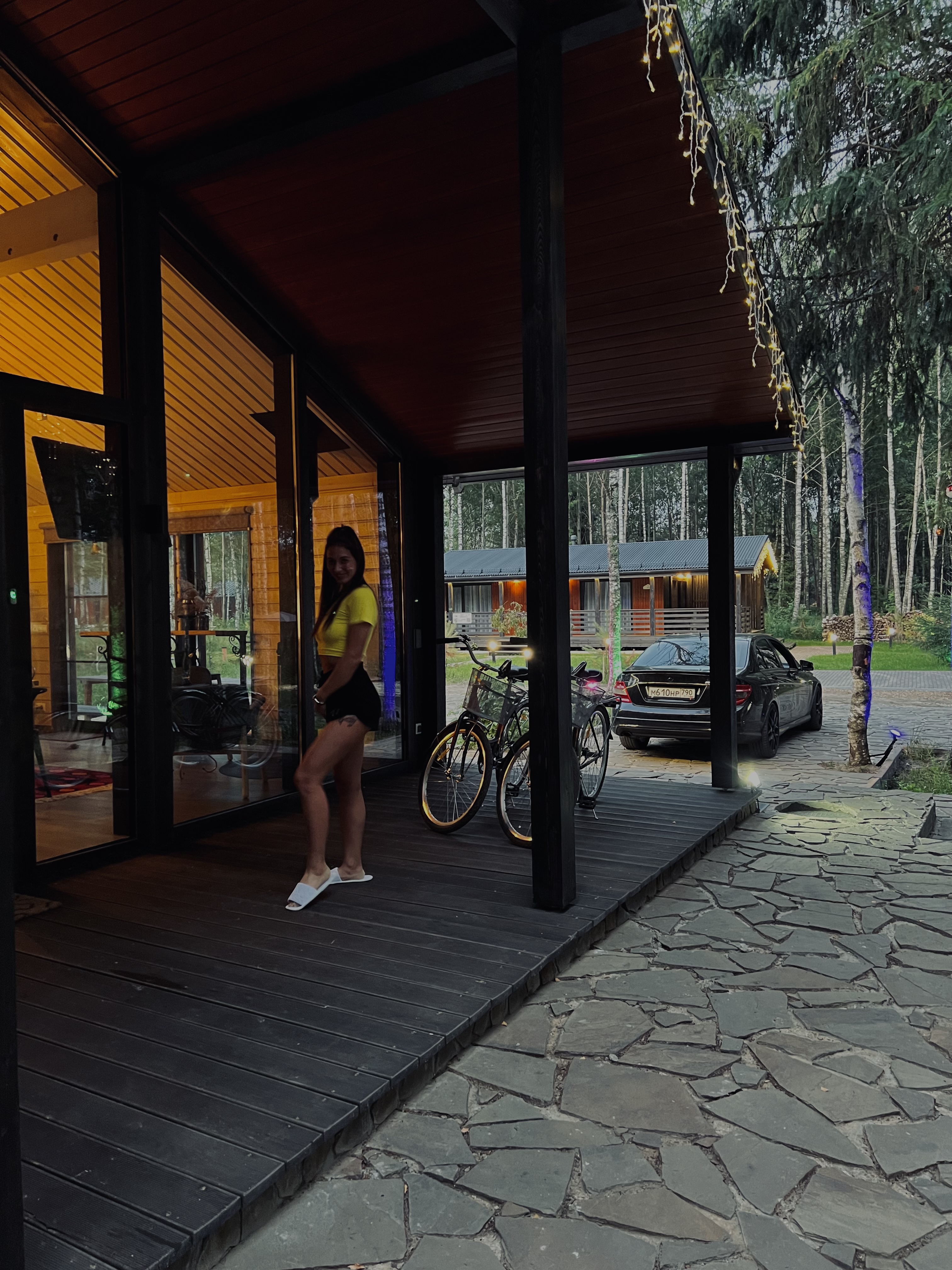 Фото Домик в соснах