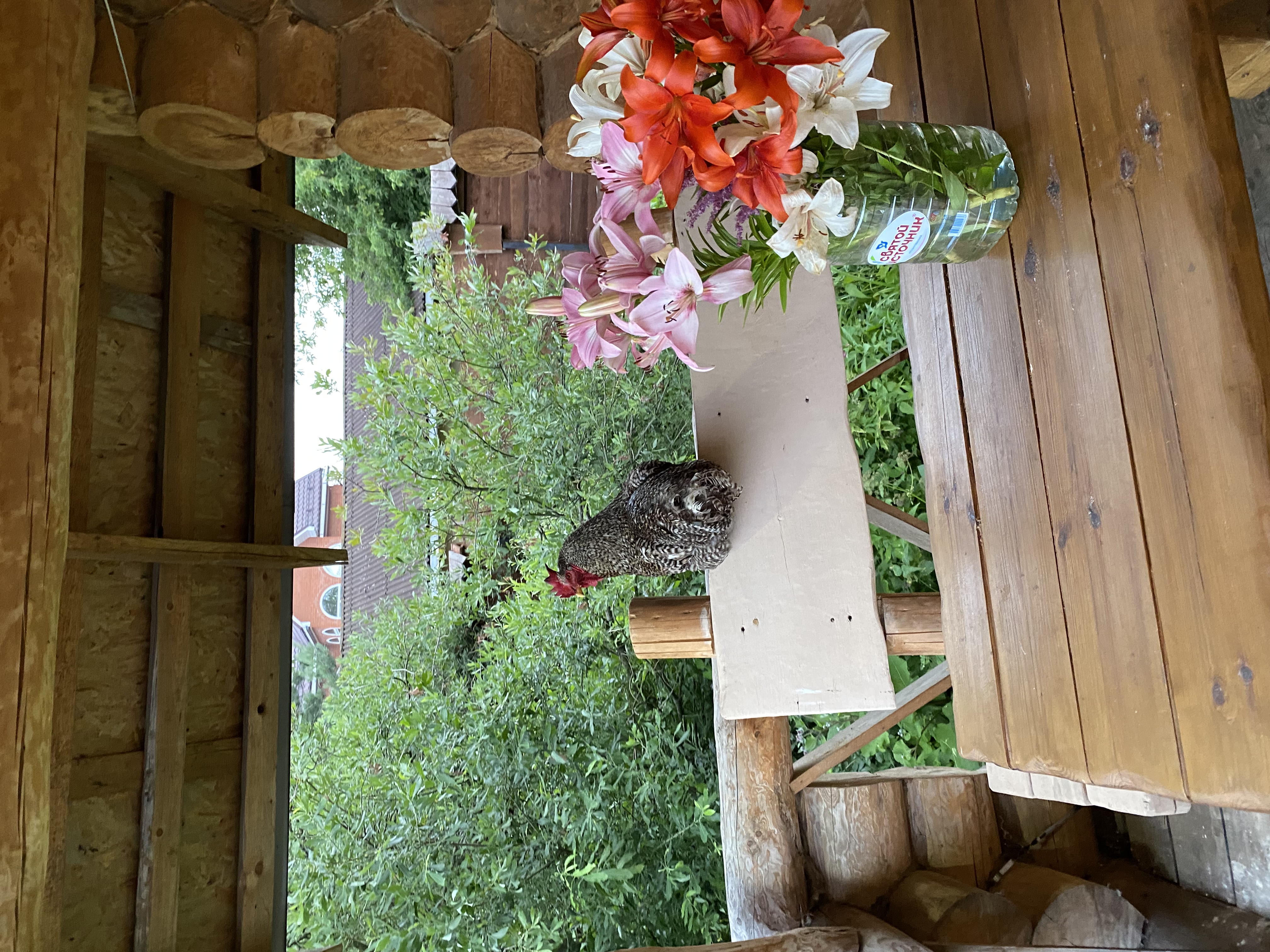 Фото Эко деревня Печки-Лавочки