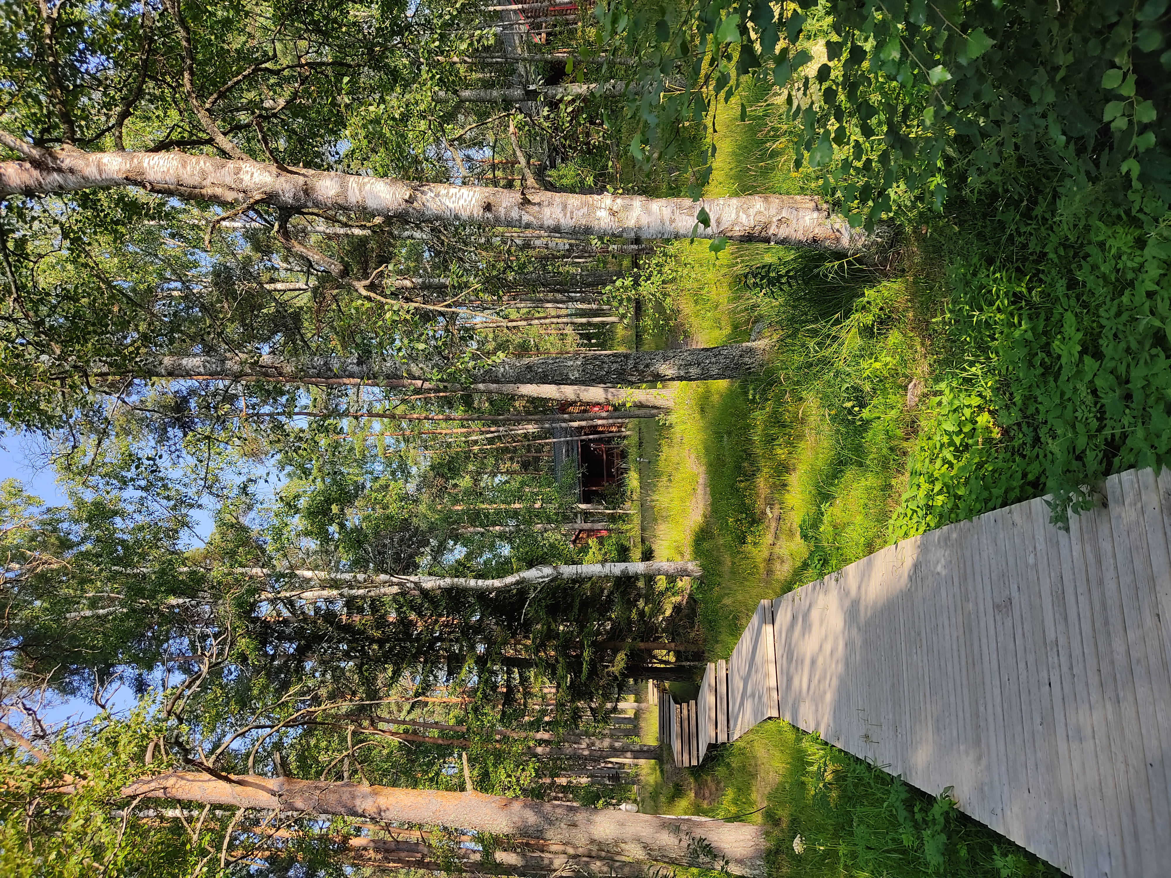 Фото Ладога озеро