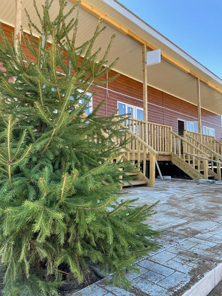 Фото У капитана Флинта