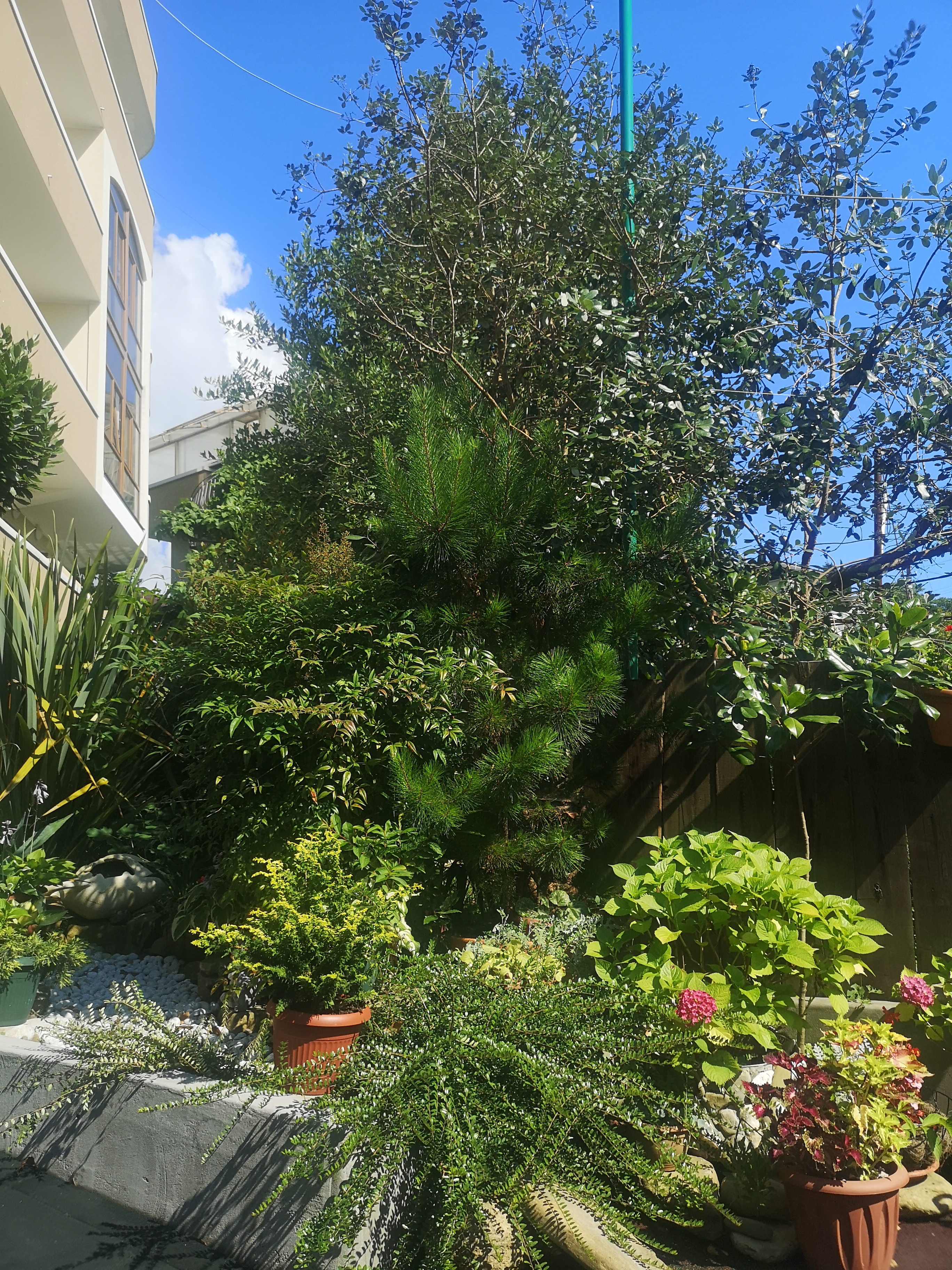 Фото Бризас