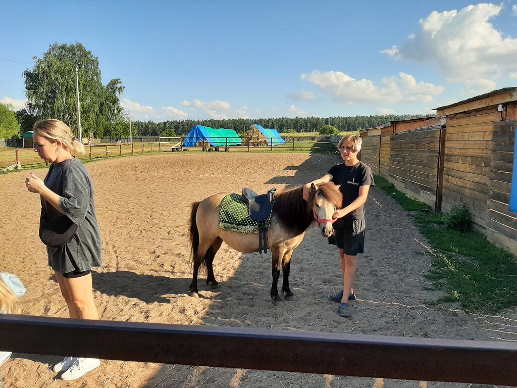 Horse riding Konny klub Koni i poni, Udmurt Republic, photo