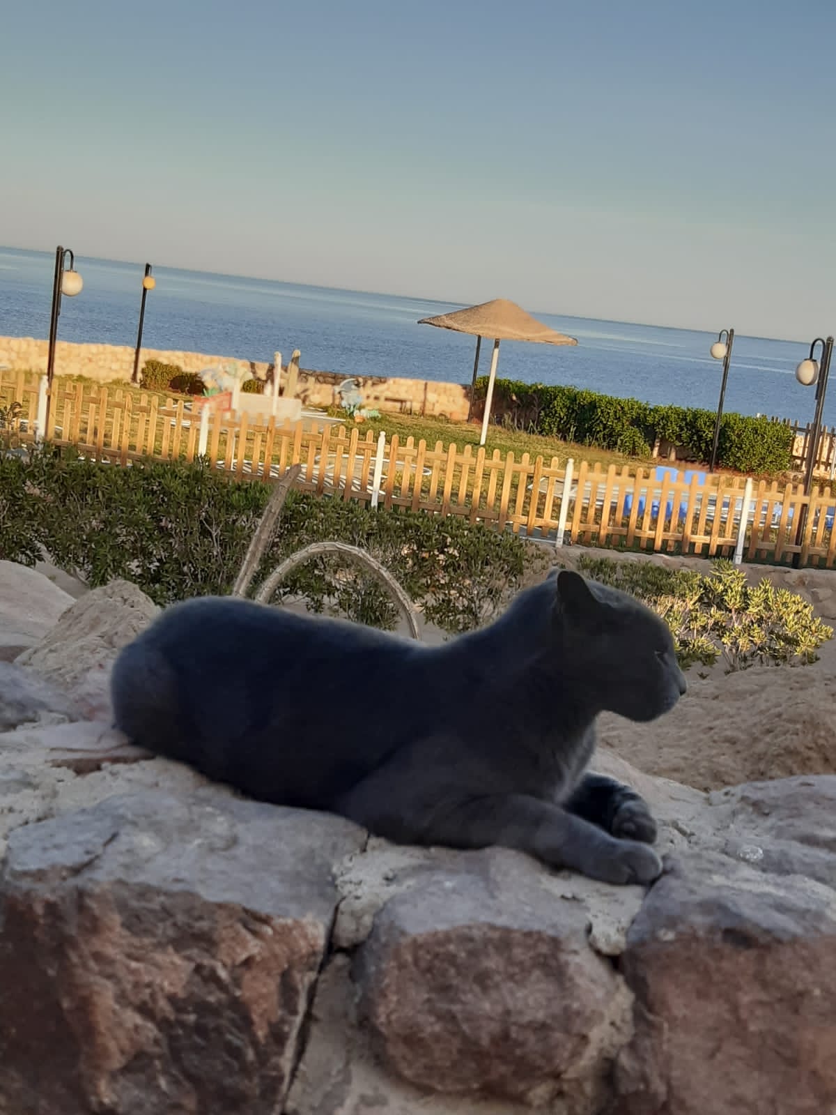 Фото Domina El Sultan Hotel & Resort