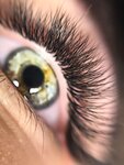 Favorite lashes (Lenina Street, 26), eyebrow and eyelash salon