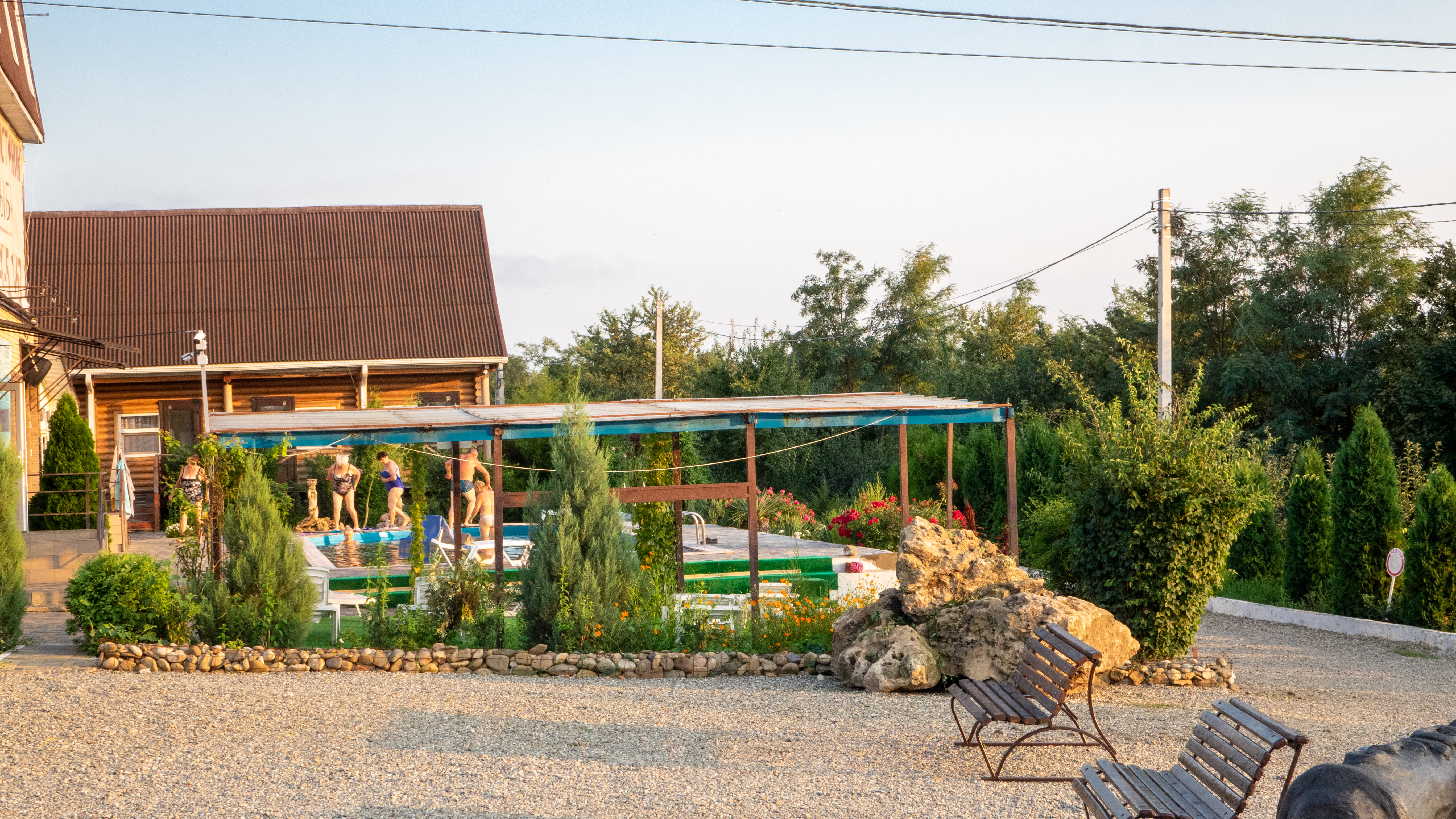 Фото Золотая рыбка