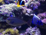 Sea-World (Gazgoldernaya Street, 10), empresa manufacturera