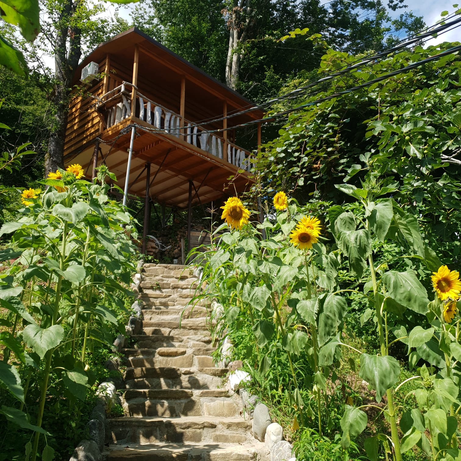 Фото Сергиев Двор