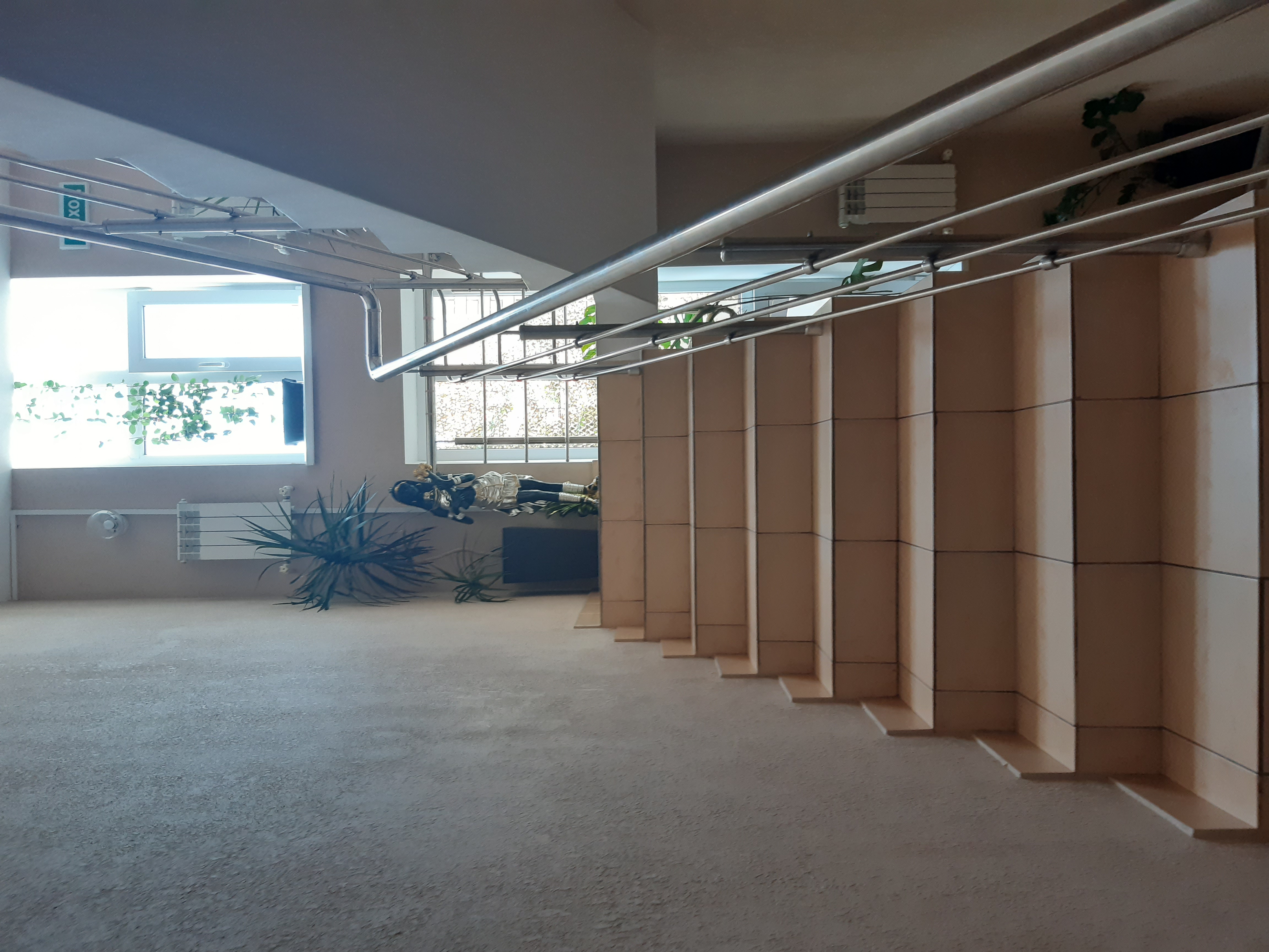 Фото Кипарис