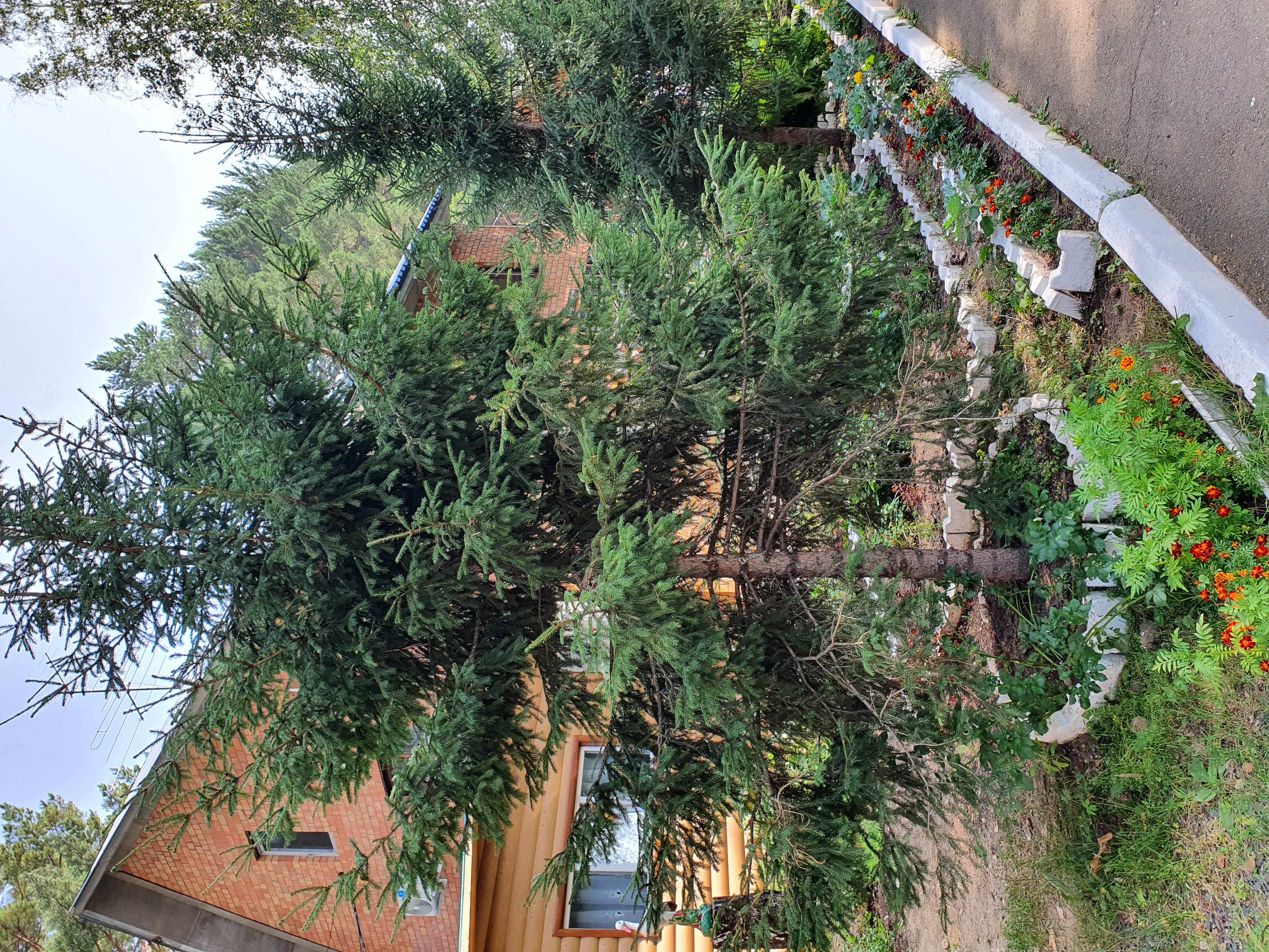 Фото Казачка Ия