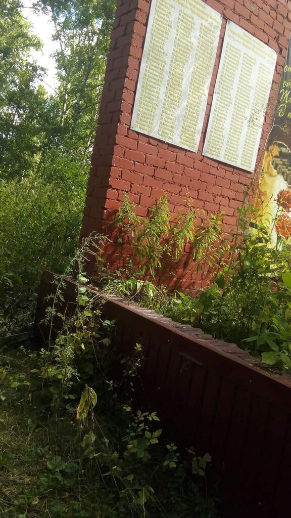 نصب تذكاري للحرب، مقبرة جماعية Воинам-односельчанам, павшим в годы Великой Отечественной войны ، مقاطعة أوليانوفسك، صورة