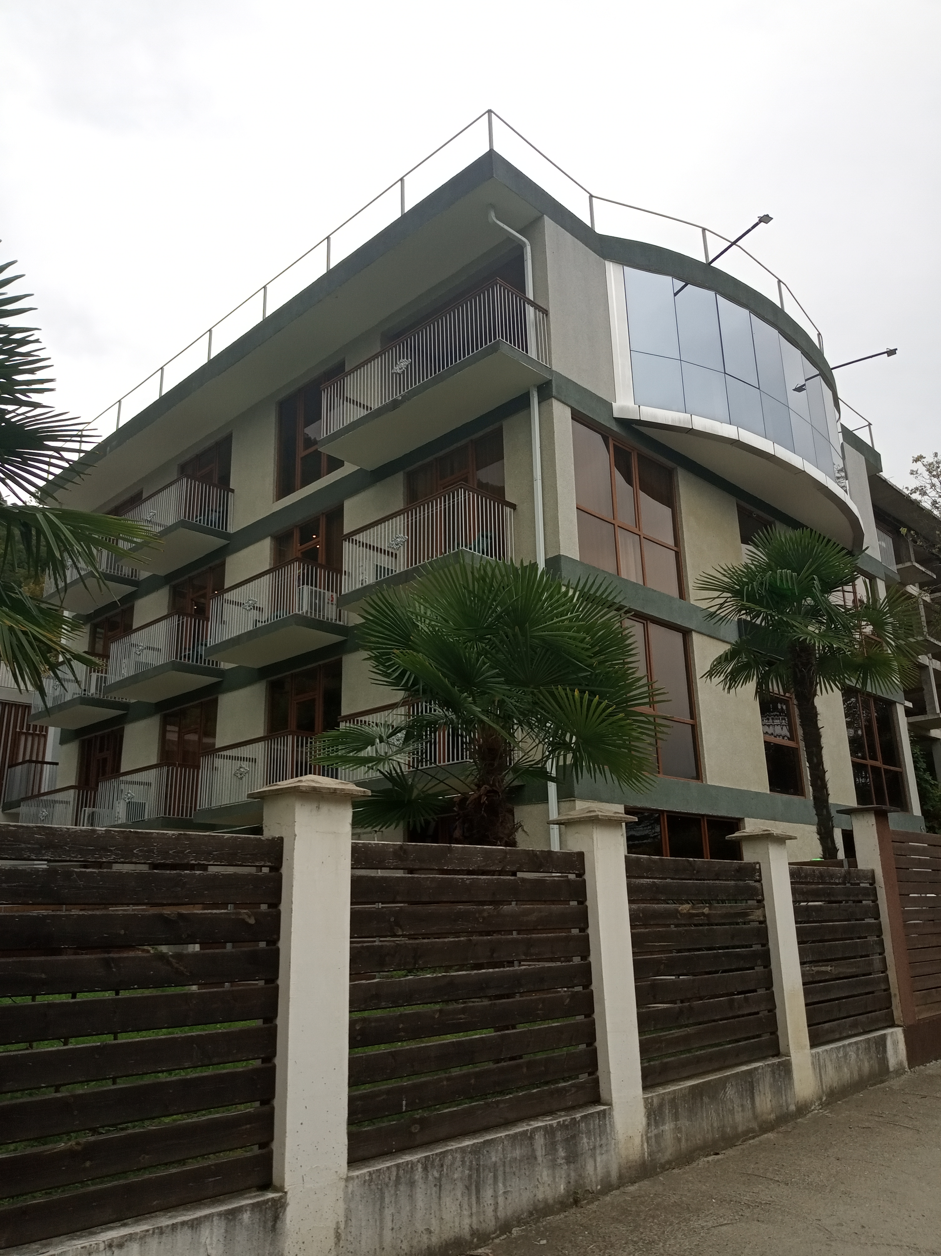 Фото Пальма