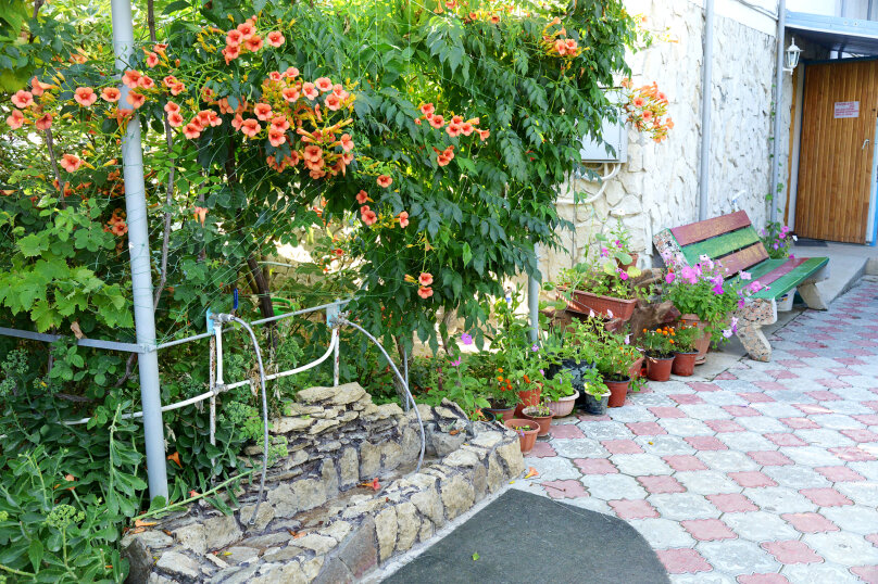 Фото Дольче Вита