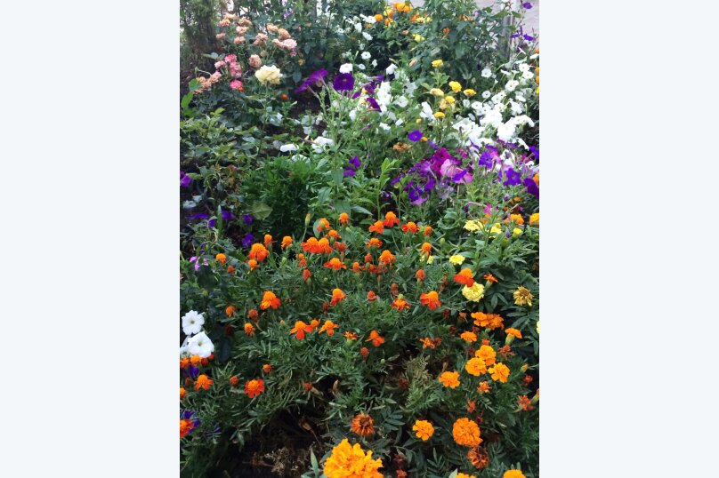 Фото Гостевой дом Канны