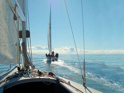 Фото Hotel Rosabianca