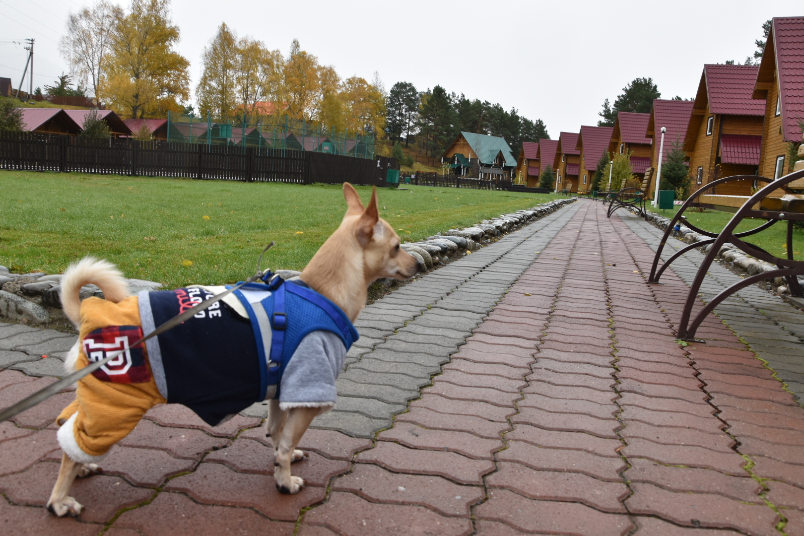 Фото Усадьба Славная