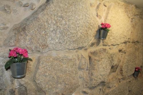 Фото Alfandegadouro Apartment