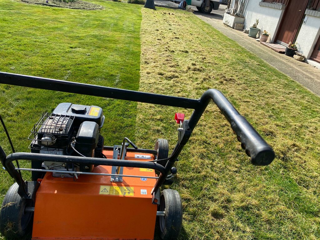 Landscape design Mm Paysagiste, Vaud, photo