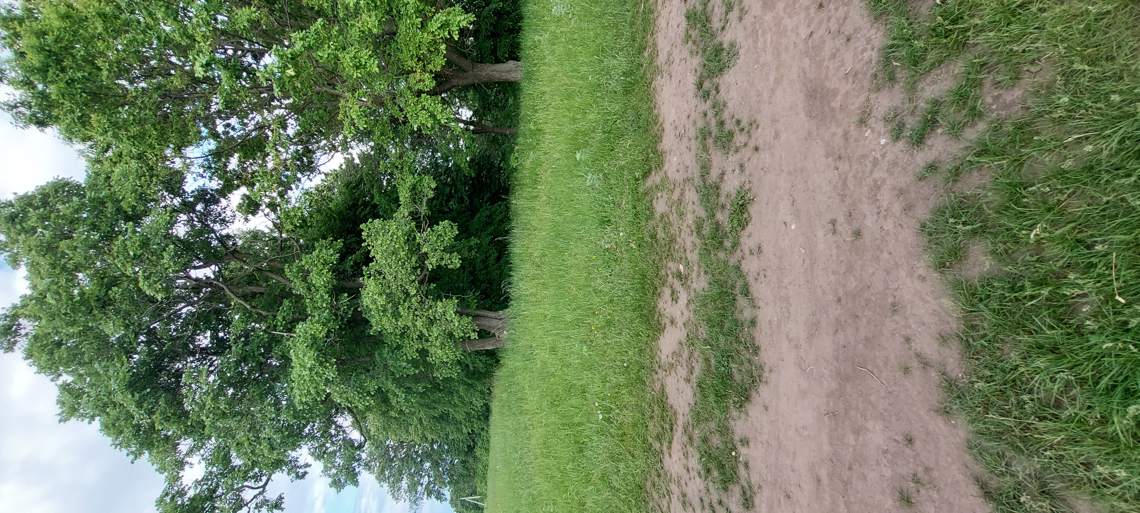 Фото Солнышко