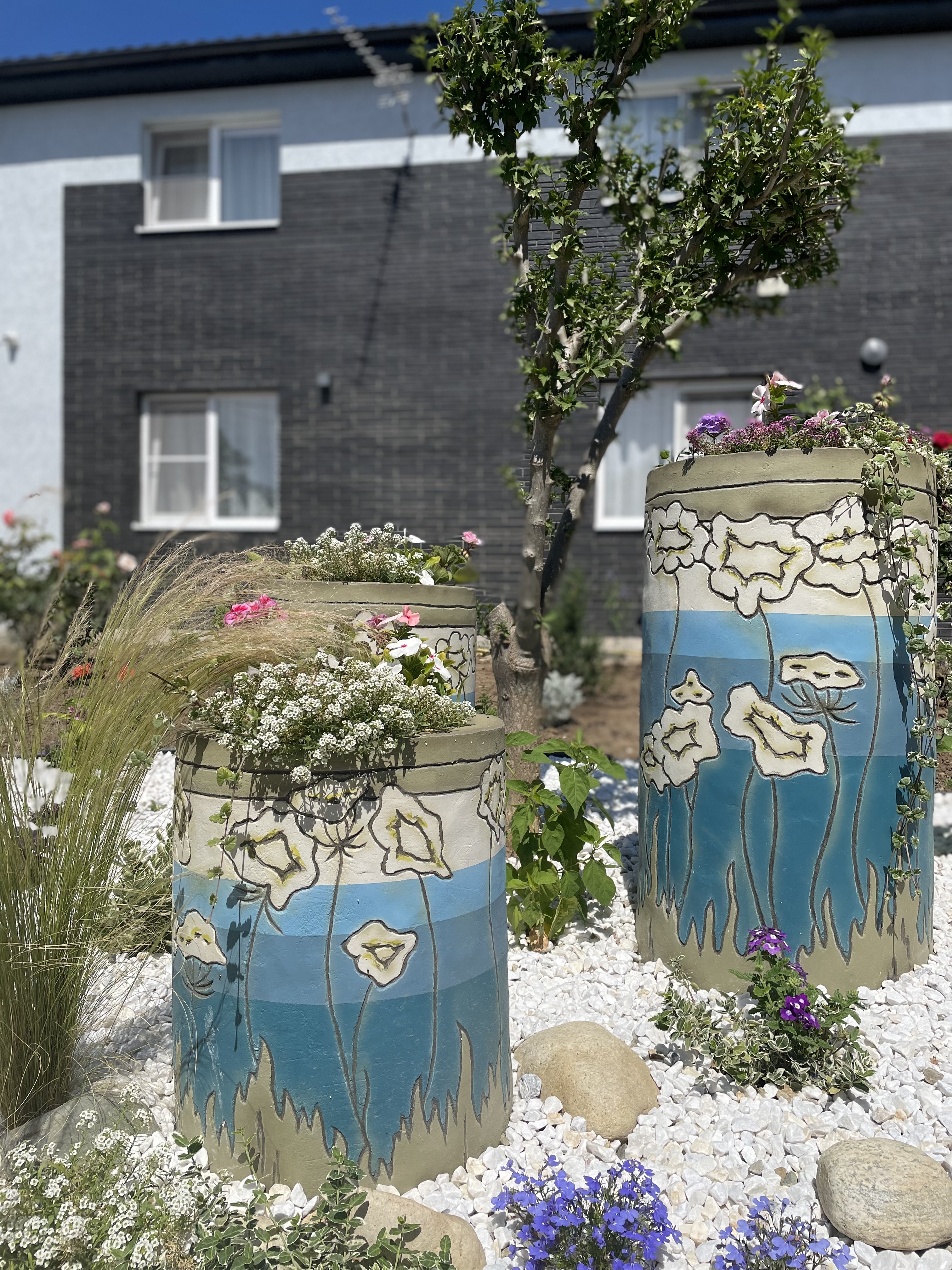 Фото Солнце