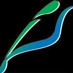 Instructional Solutions (United States, Princeton, 174 Nassau St, Suite 363), training