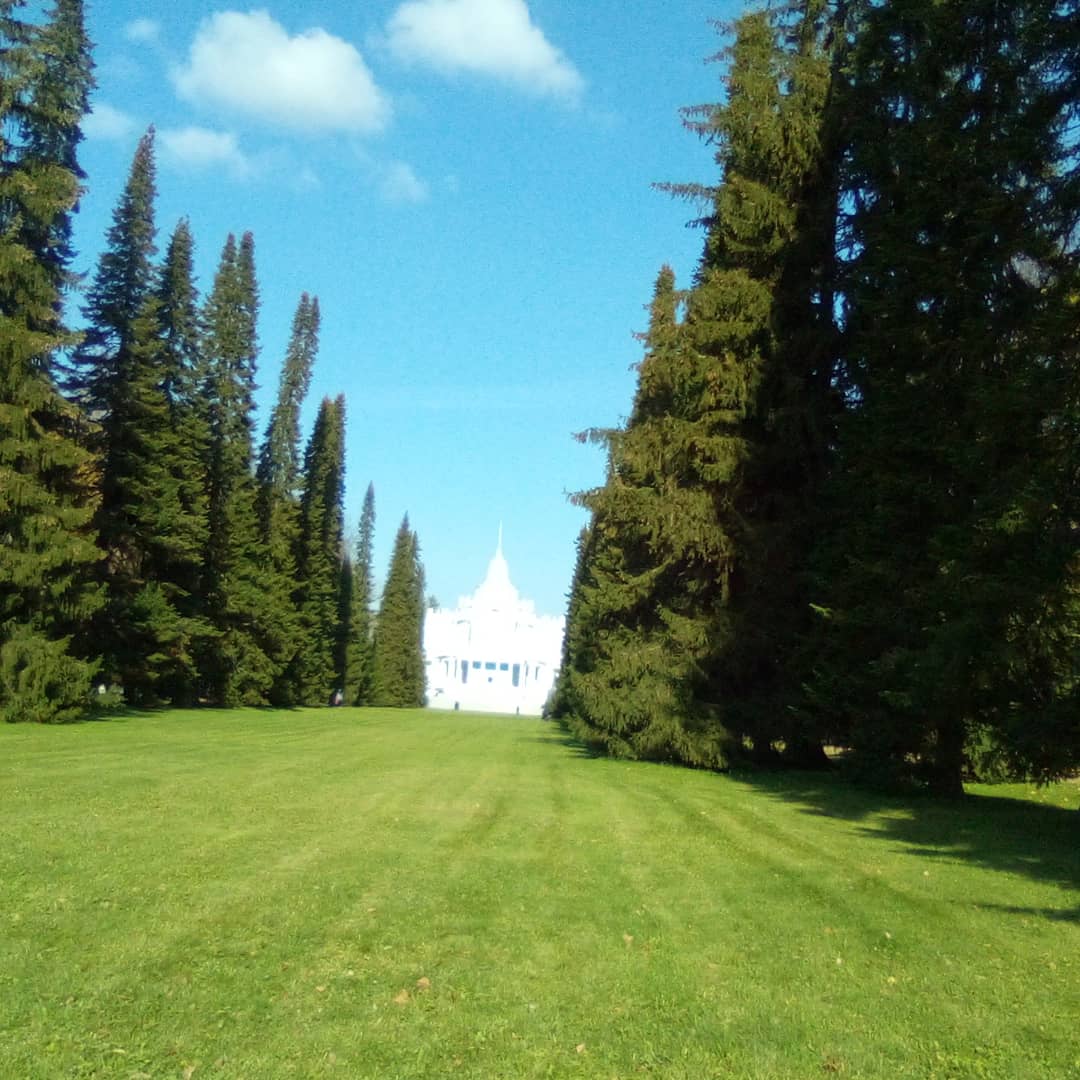 Фото Кают-компания