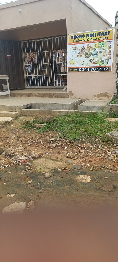 Grocery Dromo Mini Mart, Earth, photo