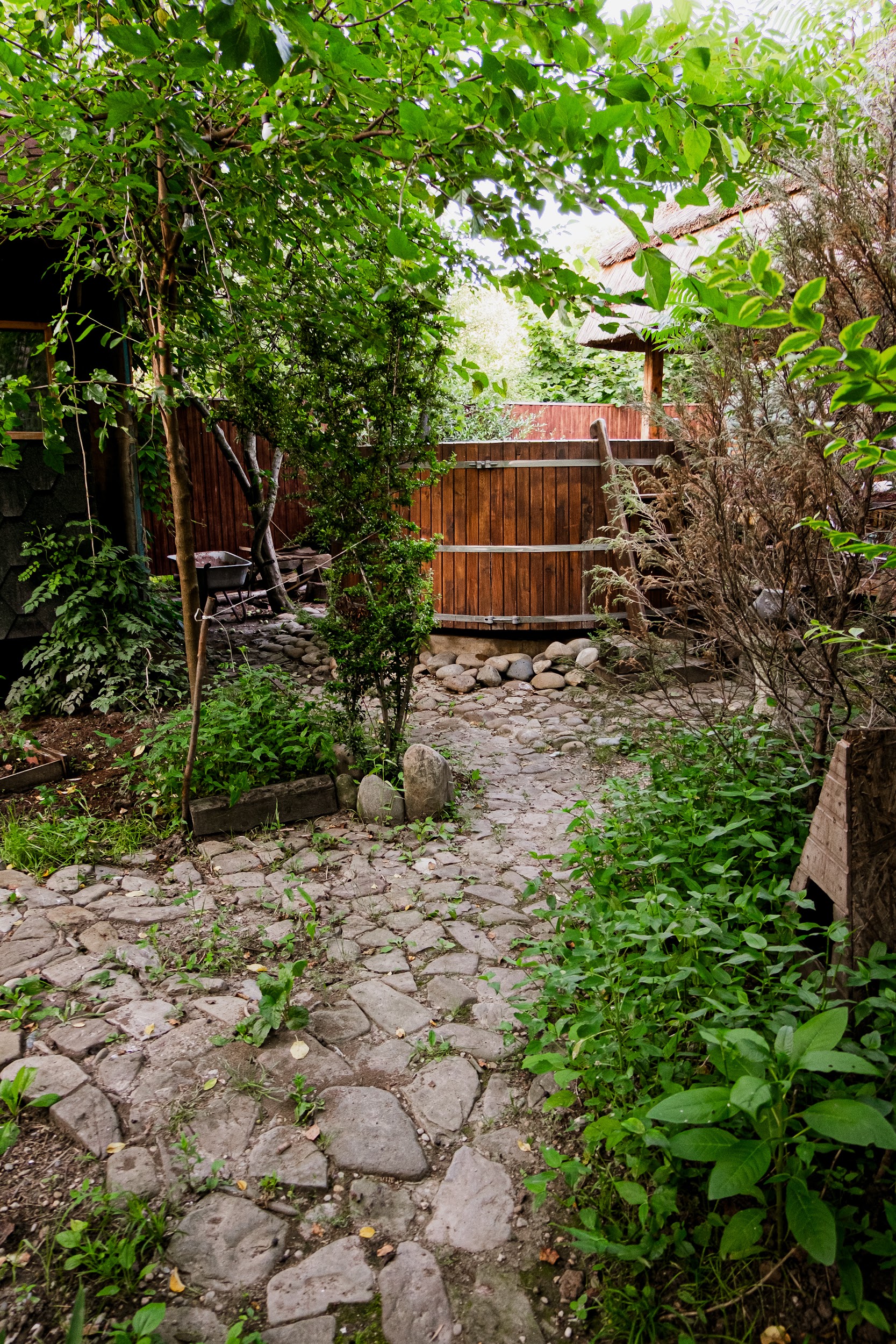 Фото Курочка Ряба