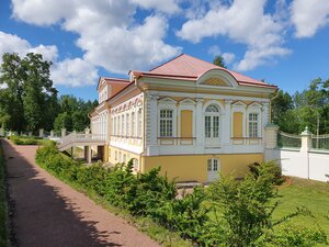 Картинный дом (Dvortsoviy Avenue, 50), museo