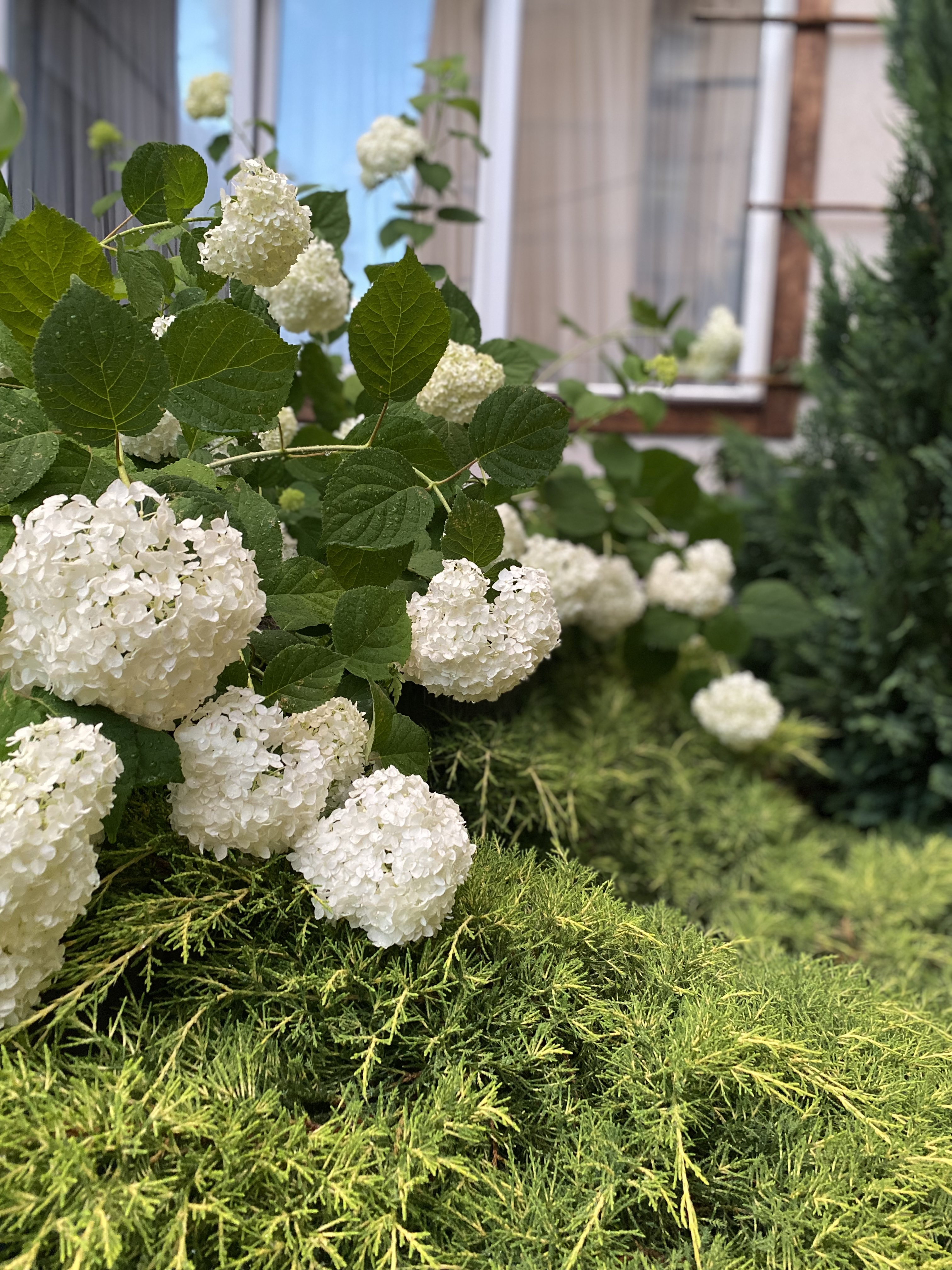 Фото Старый город