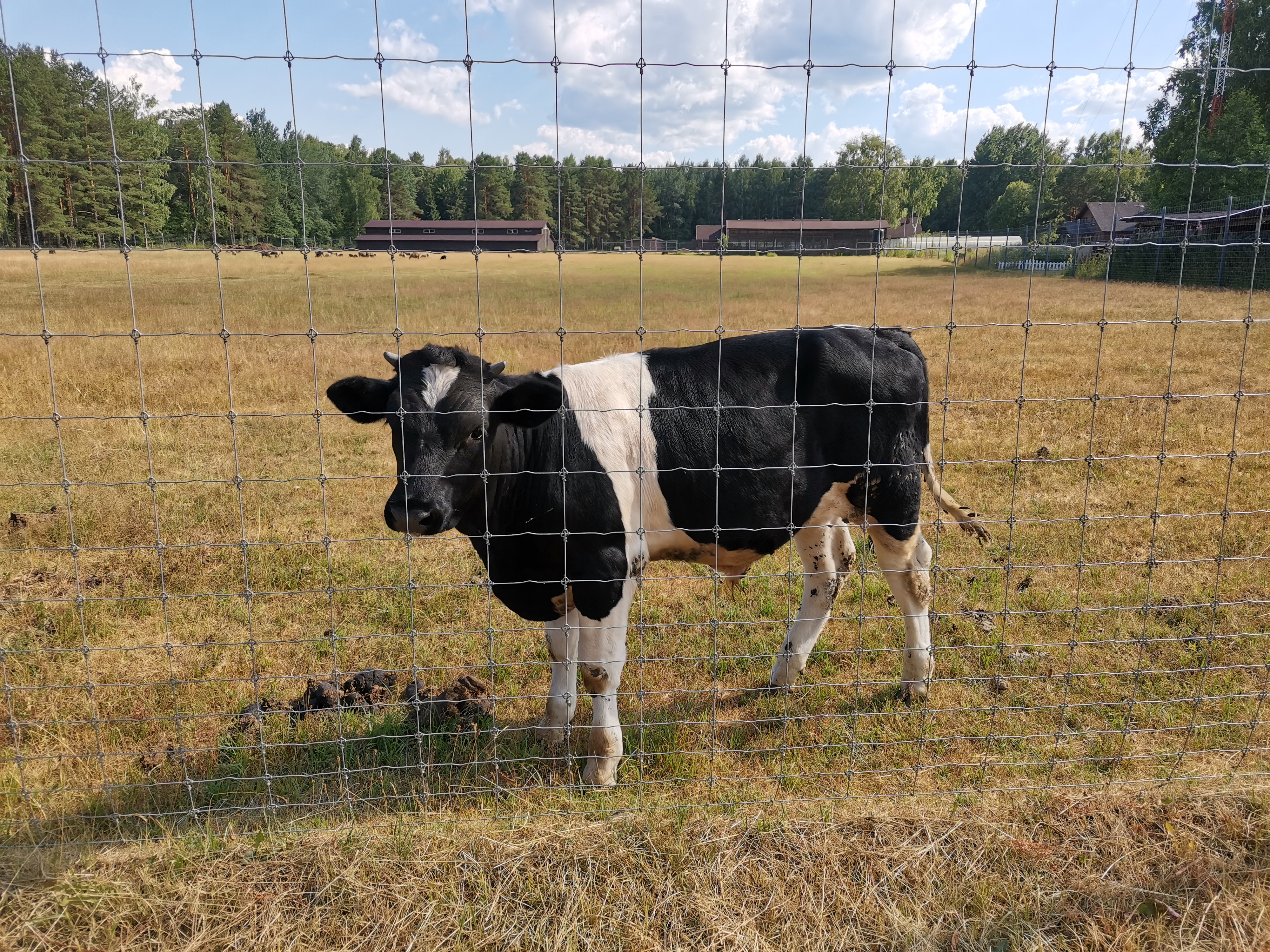 Фото Edimonovo Village