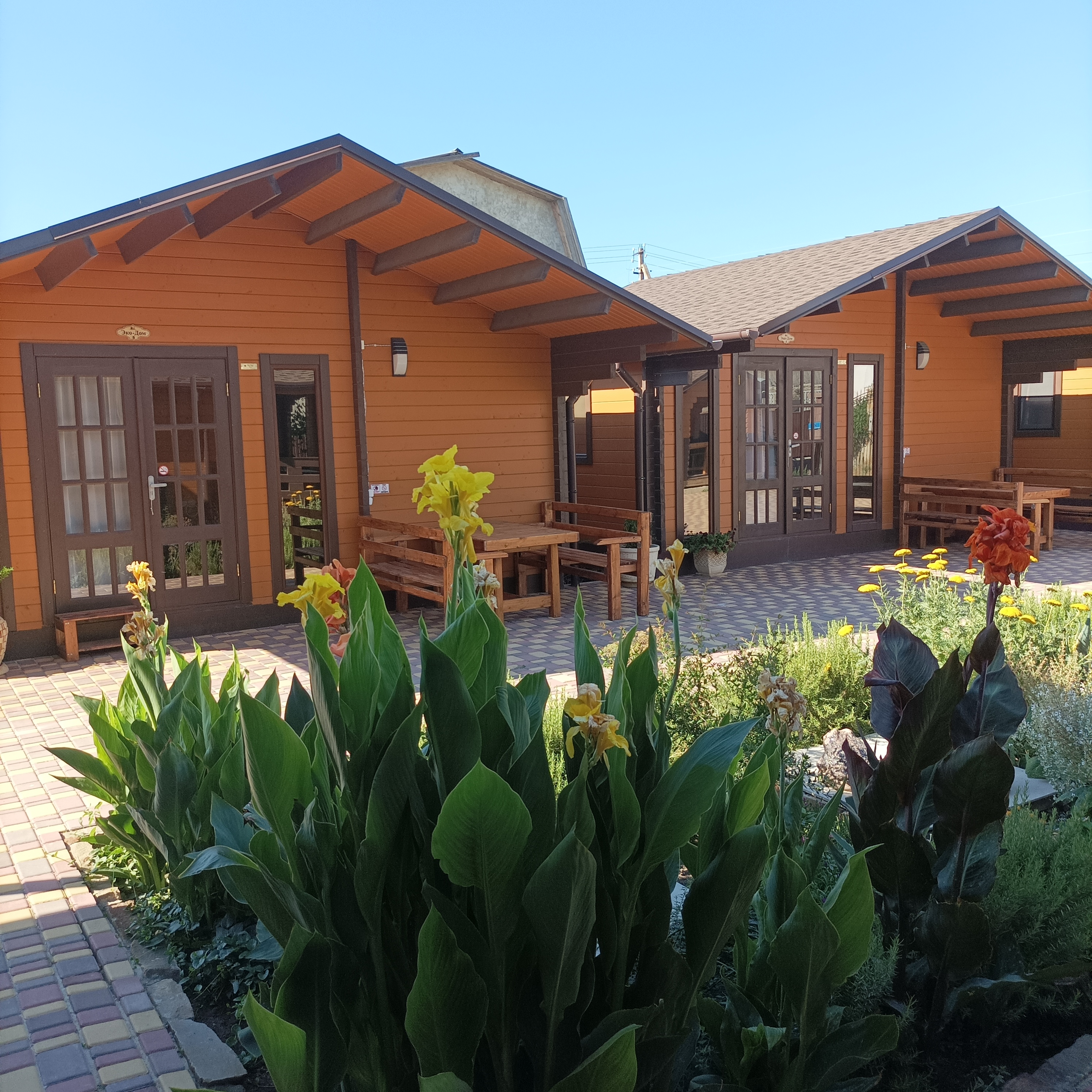 Фото Меганом