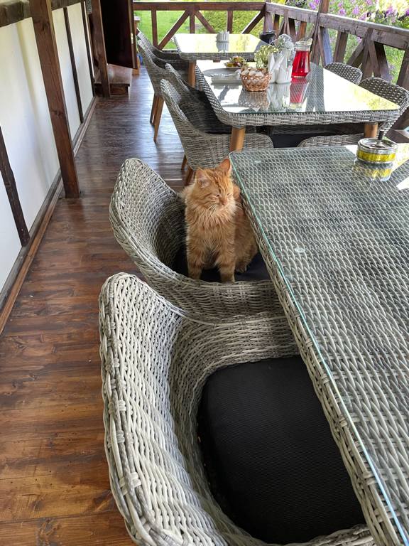 Фото Запруднево