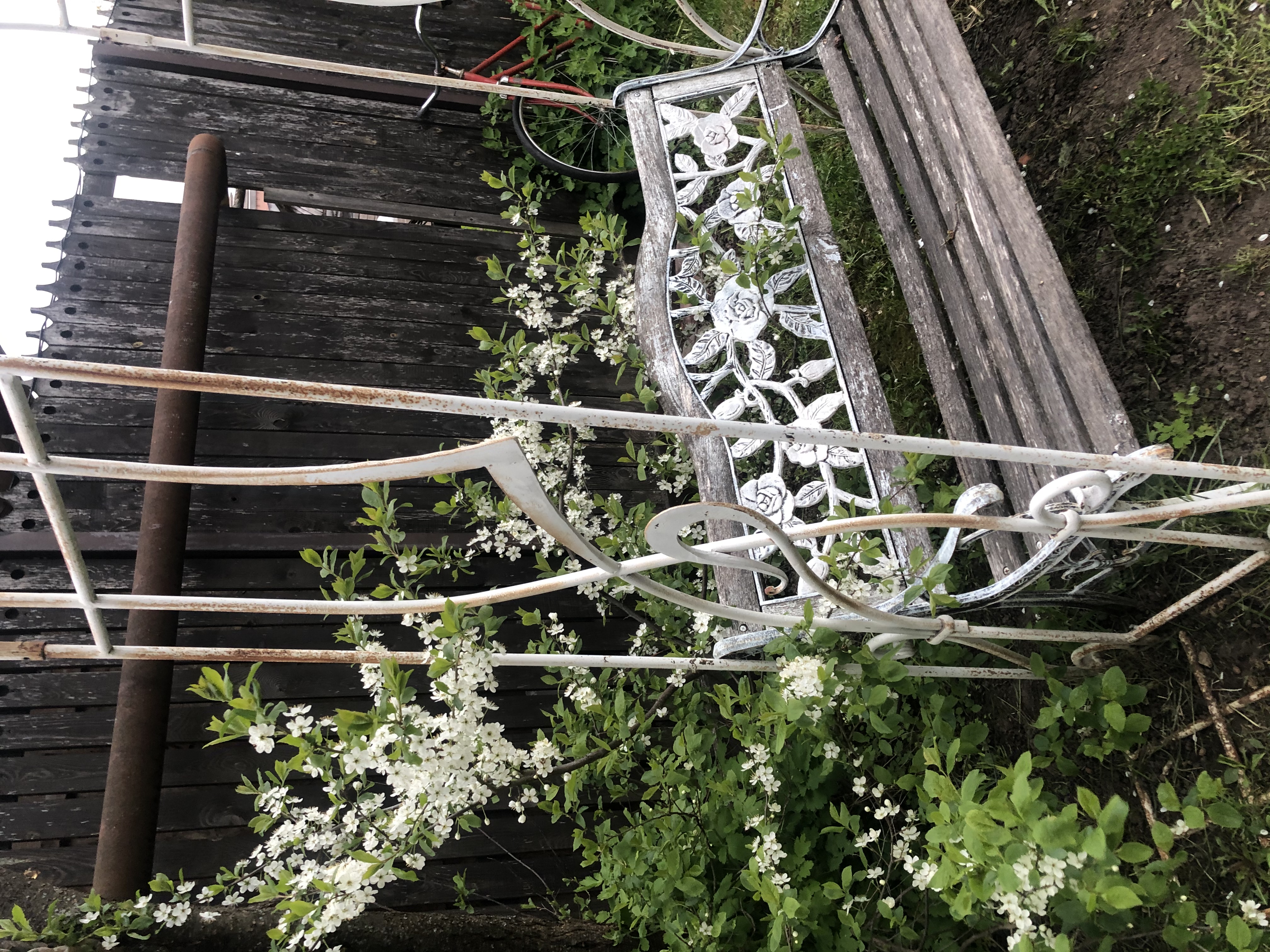 Фото Провинция