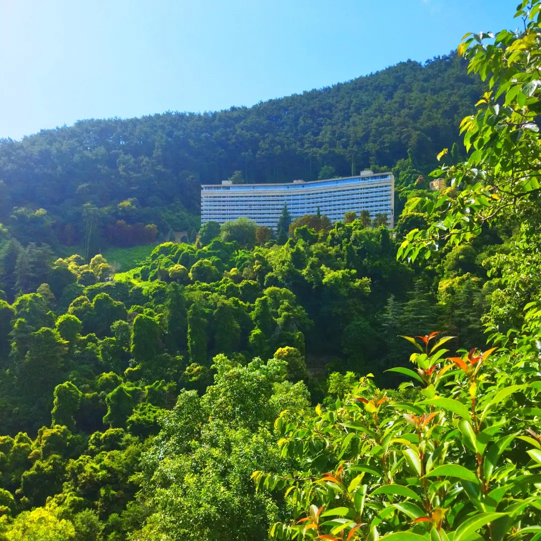 Фото Пансионат Багрипш