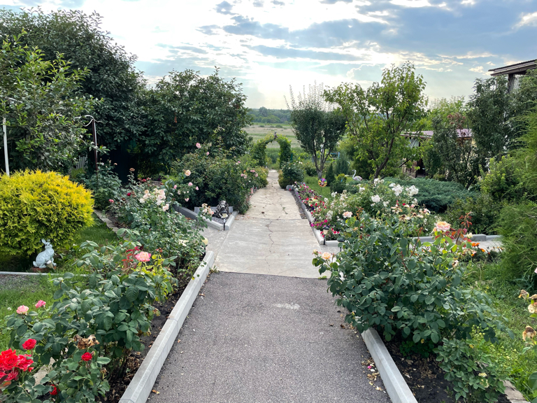 Фото Ивушка