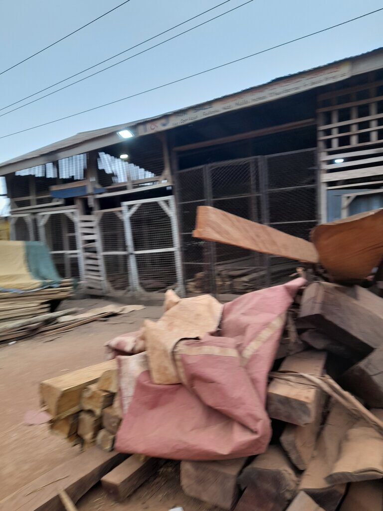 Logging, timber sales I&j Enterprise, Earth, photo