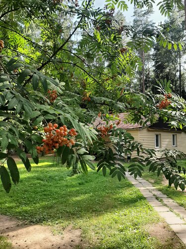 Дом отдыха Жуков луг