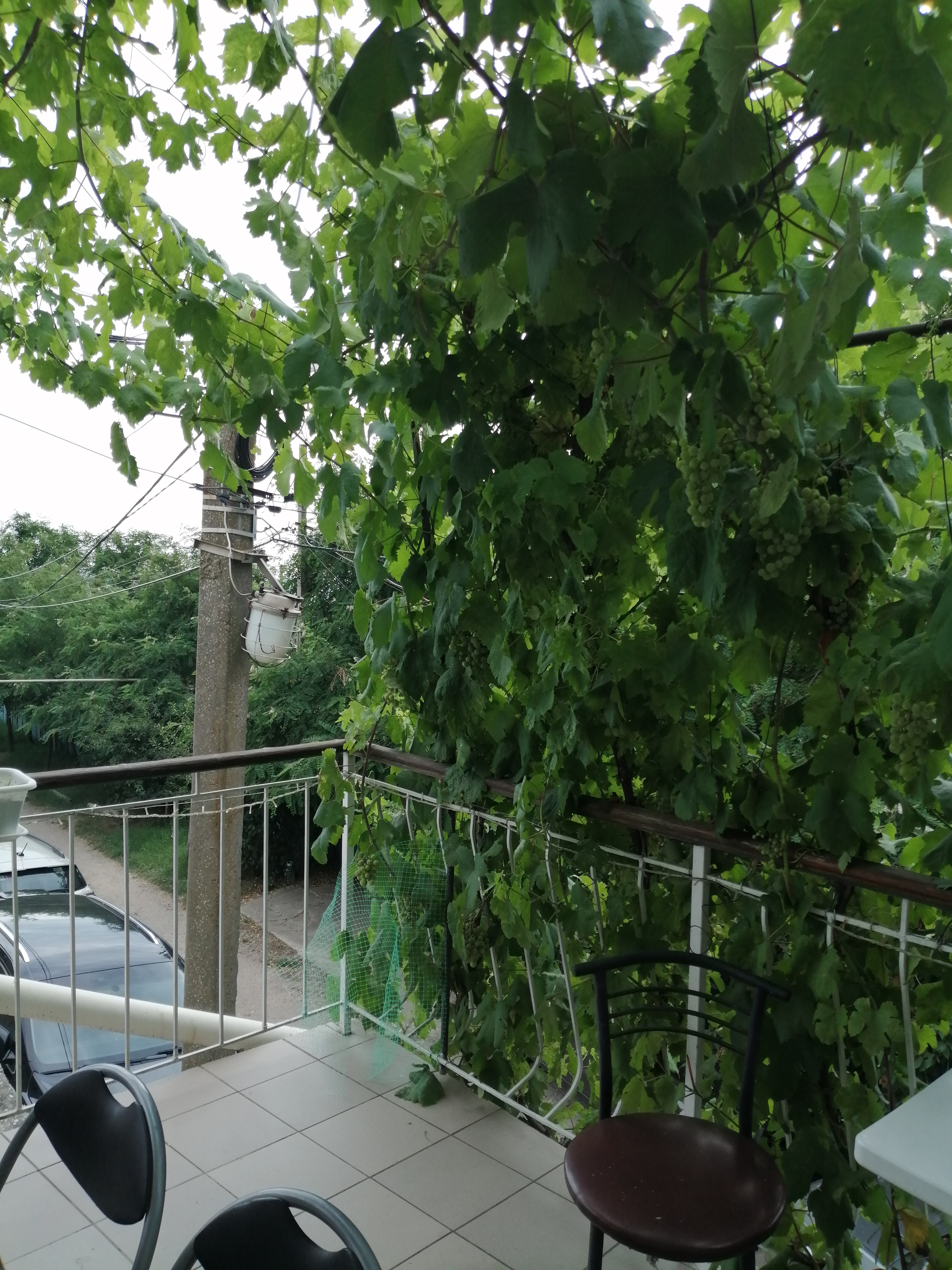 Фото Домашний уют