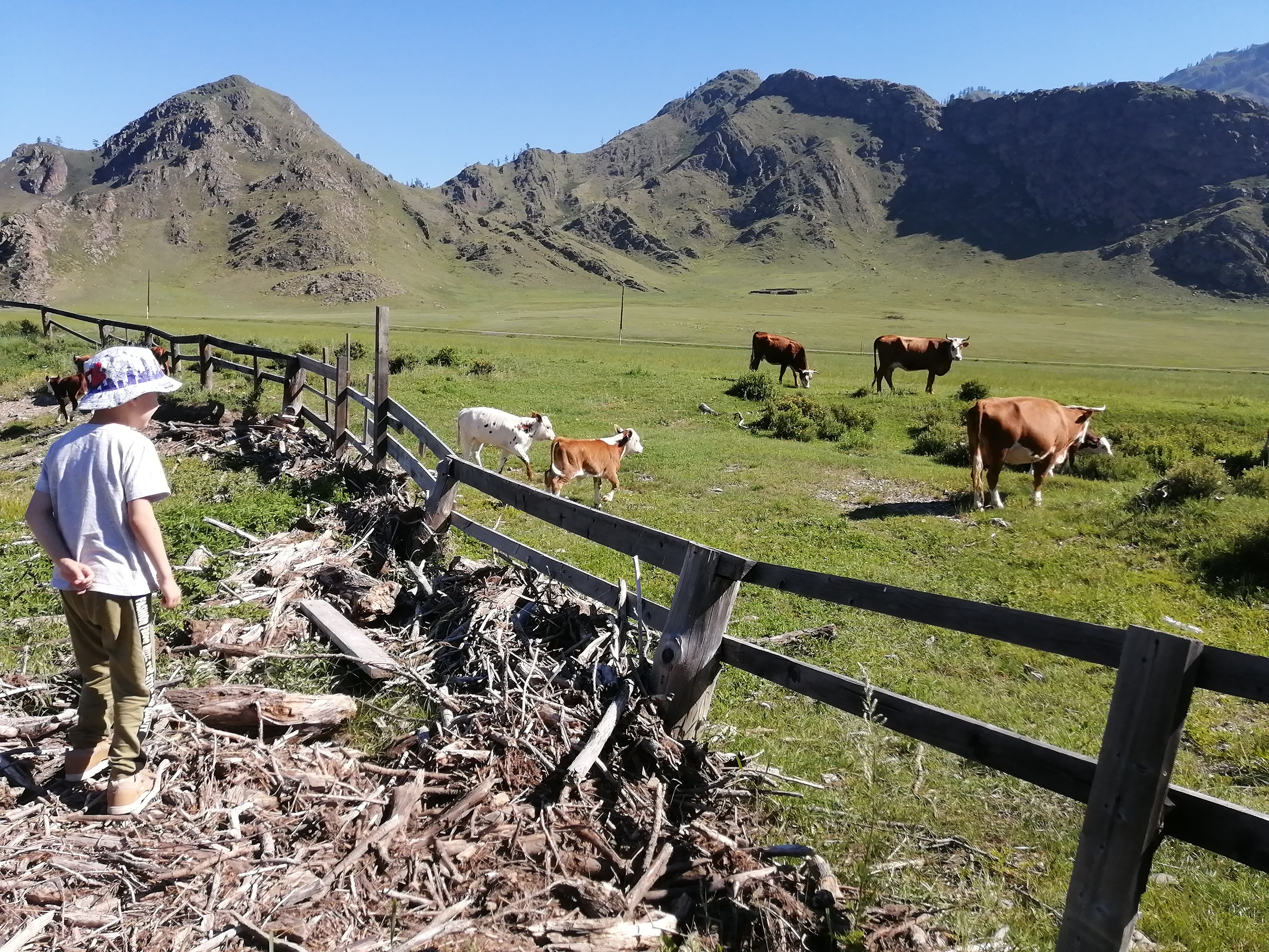 Фото УЧ Энмек