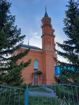 Мечеть (ул. Гагарина, 5, п. г. т. Камское Устье), мечеть в Республике Татарстан