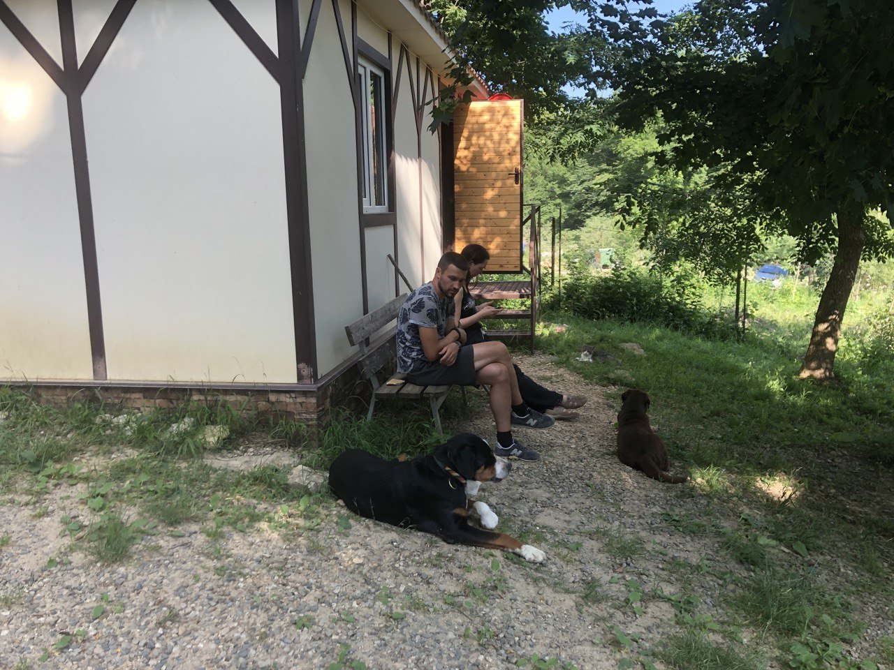 Фото Солнечный ветер