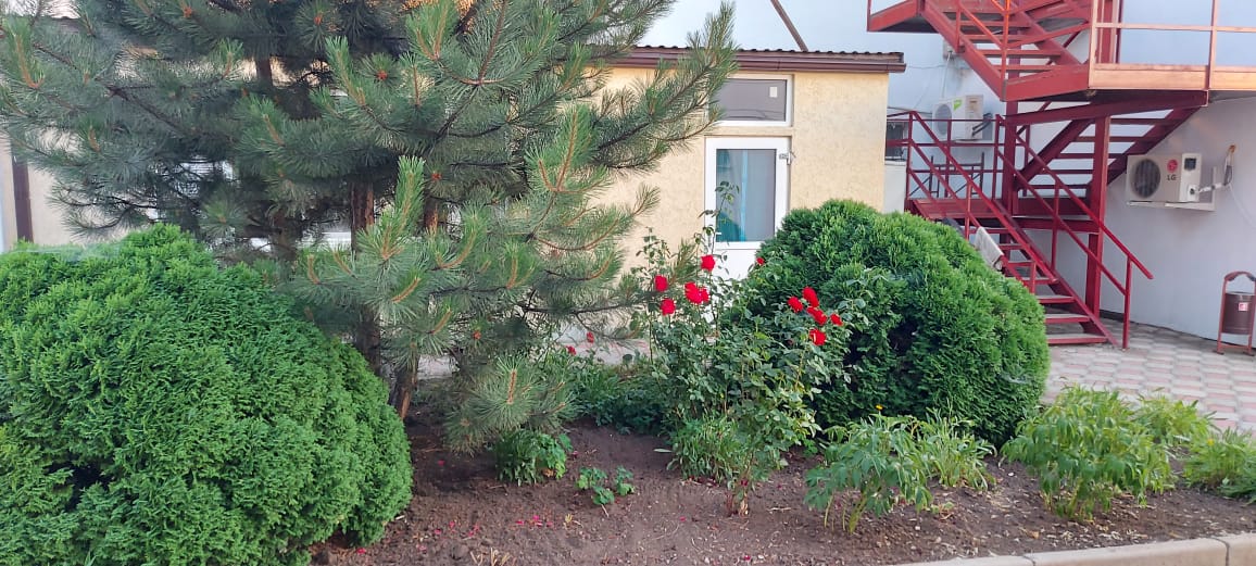 Фото Корона